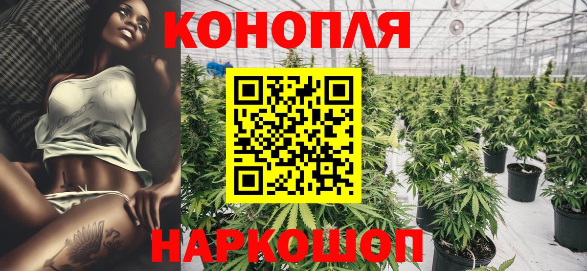 Бошки Шишки Amnesia Видное